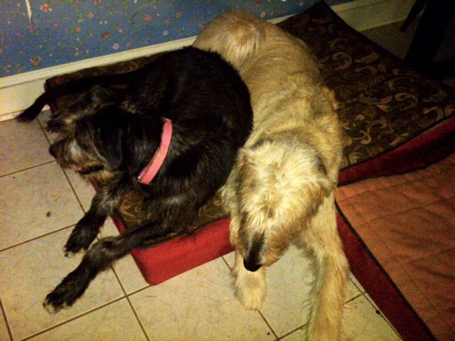 Tegan and Casey taking a break