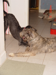 Tegan (on the left) trying to get Briana to play