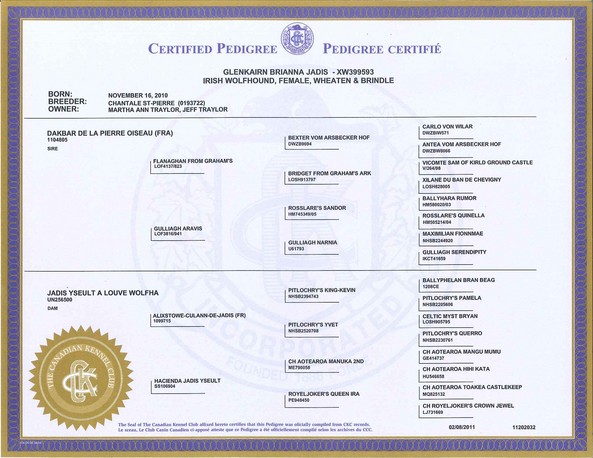 Brianna's Pedigree