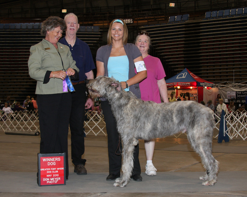 Duke - Winner's Dog in Fort Lauderdale Sep. 2011. This was his first win.