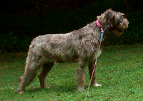 Brianna watching the golfers